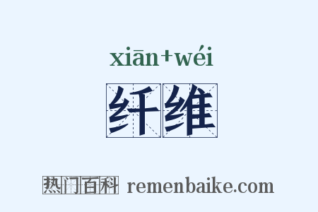 纤维是什么意思的图片